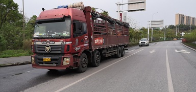 ȫ��؛܇�{(di��o)�� �O(sh��)���\(y��n)ݔ�����؛�\(y��n)܇�v����������