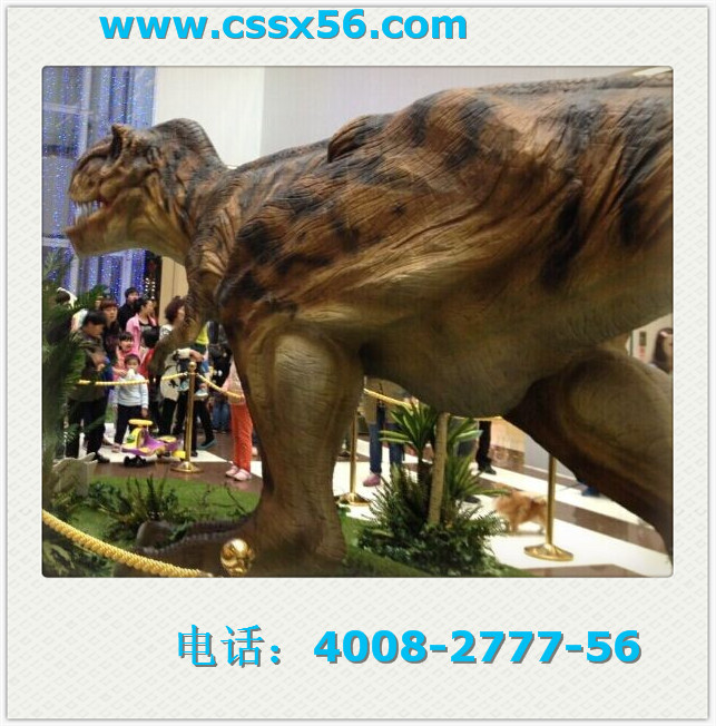 �Lɳ������������˾���Lɳ���h(yu��n)����